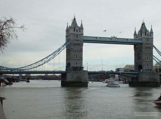 Ӣ��(gu��)�ؘ�(bi��o)������������