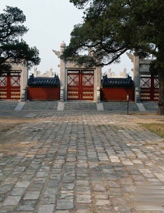 ���A�Ž���