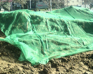 �����÷��m�W