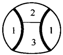 二級建造師考試市政實務(wù)知識點：噴錨暗挖法的掘進(jìn)方式選擇