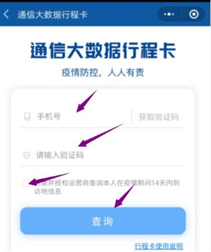 最后輸入自己的手機(jī)號(hào)碼，點(diǎn)擊查詢(xún)。