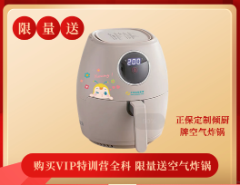 空氣炸鍋 空氣炸鍋